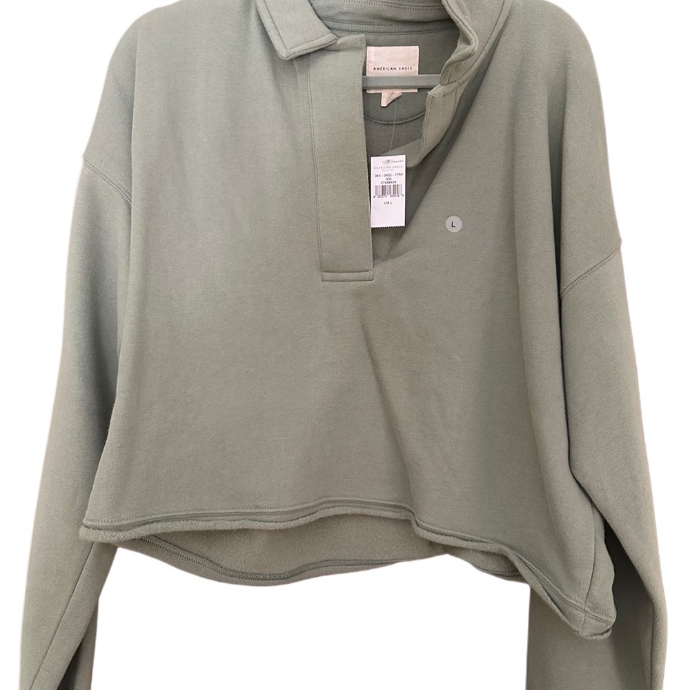 American Eagle Outfitters Sage Green Cropped sweater